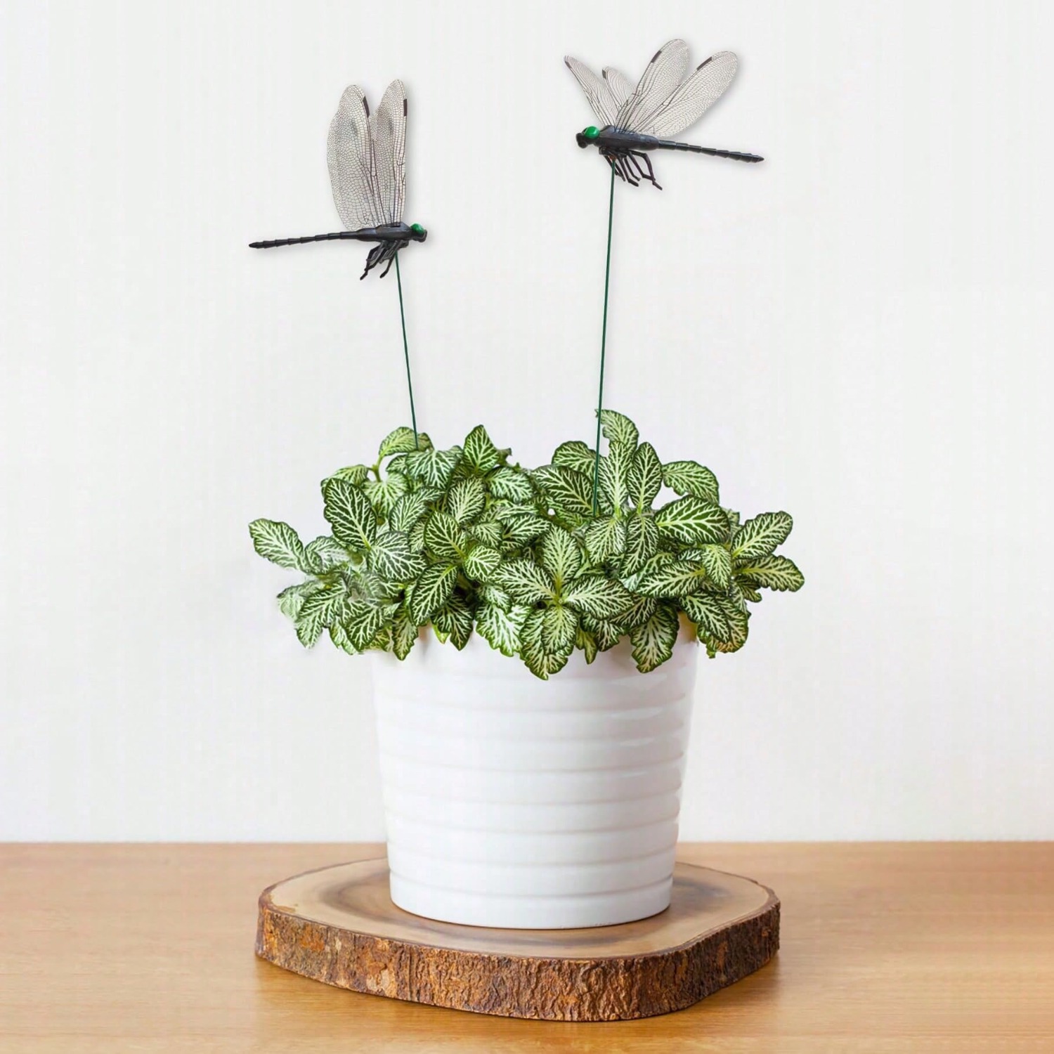 10 Adet Dekoratif Yusufçuk, Ge - 3D Printing Pot incelemesi ve fiyatı